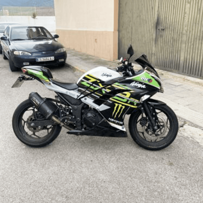 Kawasaki Ninja 300 2012-2016 WSBK Theme Graphic Kit