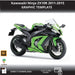 KAWASAKI NINJA ZX-10R 2011-2015 1:1 Vector Graphic Template Bikerz Kingdom